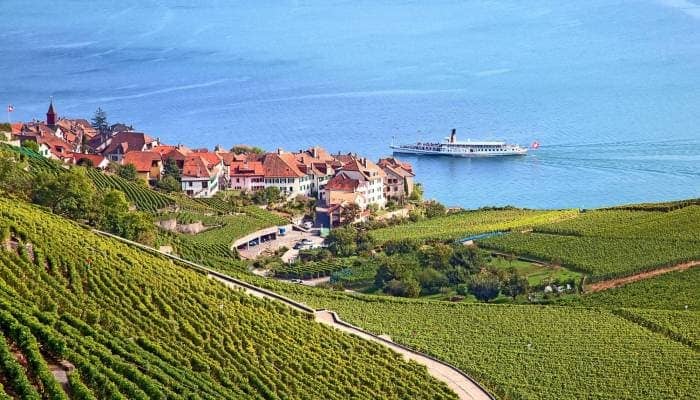 Die Lavaux-Weinberge